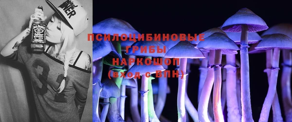 гидра Абаза