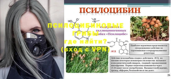 прущие крисы Новодвинск