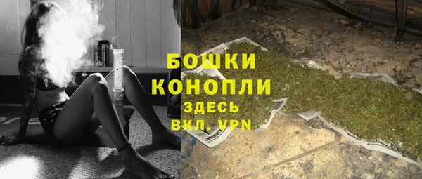 прущие грибы Абдулино