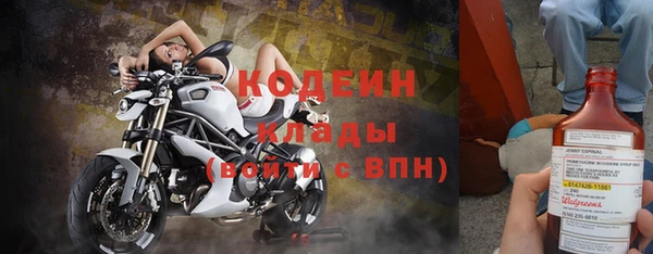 гидра Абаза