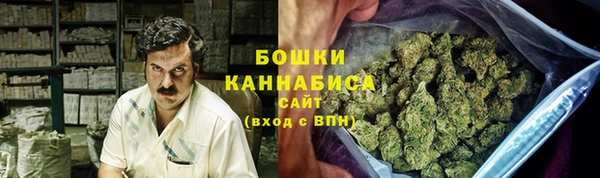 прущие крисы Новодвинск