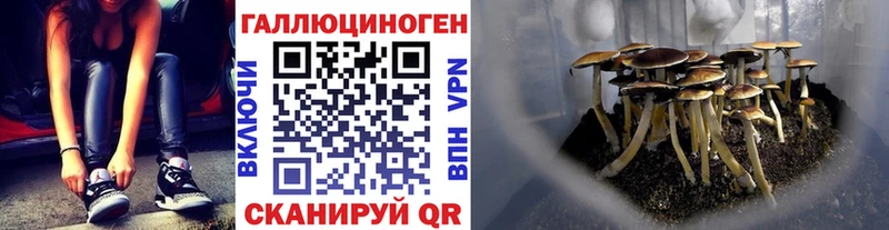 Псилоцибиновые грибы GOLDEN TEACHER  магазин продажи наркотиков  Зарайск 